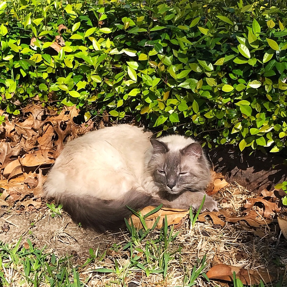 Meet your Posher, Heather